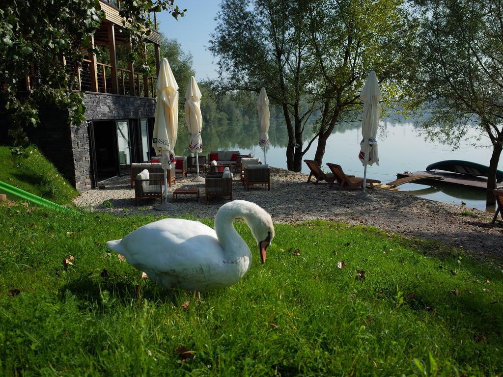 Zagreb Camp Bungalows Rakitje Ngoại thất bức ảnh